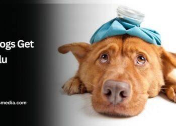 Can Dogs Get Bird Flu