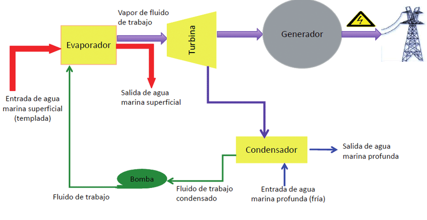 Economic Contributions of the Planta de Fluidos